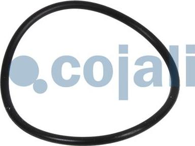 Cojali 6084034 - Ремкомплект autocars.com.ua