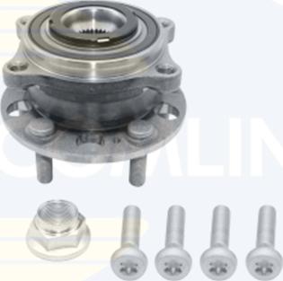 Comline CHA495 - Комплект підшипника маточини колеса autocars.com.ua
