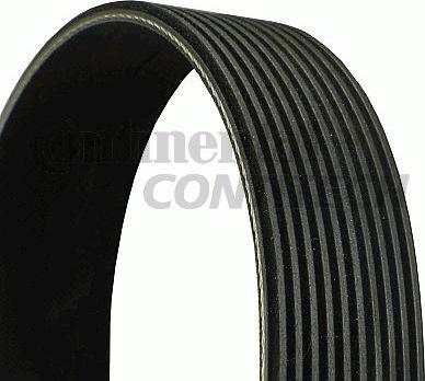 CONTINENTAL 10PK1115 - Поликлиновой ремінь autocars.com.ua