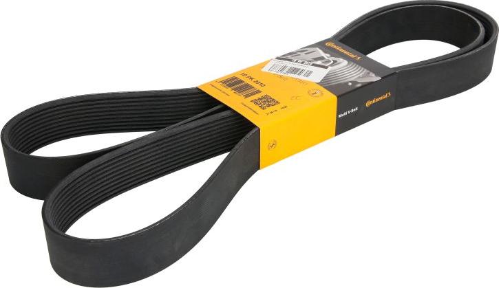 CONTINENTAL 10 PK 2010 - Поликлиновой ремінь autocars.com.ua