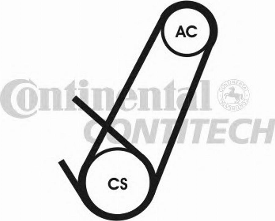 CONTITECH 4PK924 ELAST T1 - Поликлиновой ремень autodnr.net