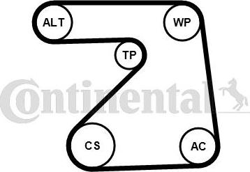 CONTITECH 5PK1334WP1 - Водяний насос + комплект струмкових ременів autocars.com.ua