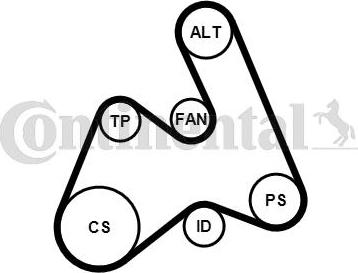 Contitech 5PK1592K1 - Поликлиновый ременный комплект autodnr.net