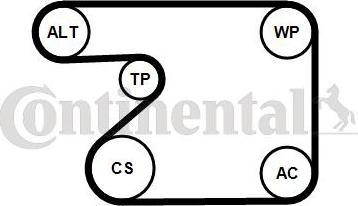 CONTITECH 5PK1680K1 - Поликлиновий ремінний комплект autocars.com.ua