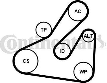 CONTITECH 5PK1745WP1 - Водяной насос + комплект ручейковых ремней avtokuzovplus.com.ua