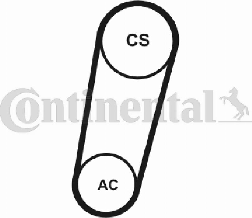 Contitech 5PK705T1 - Поликлиновой ремень autodnr.net