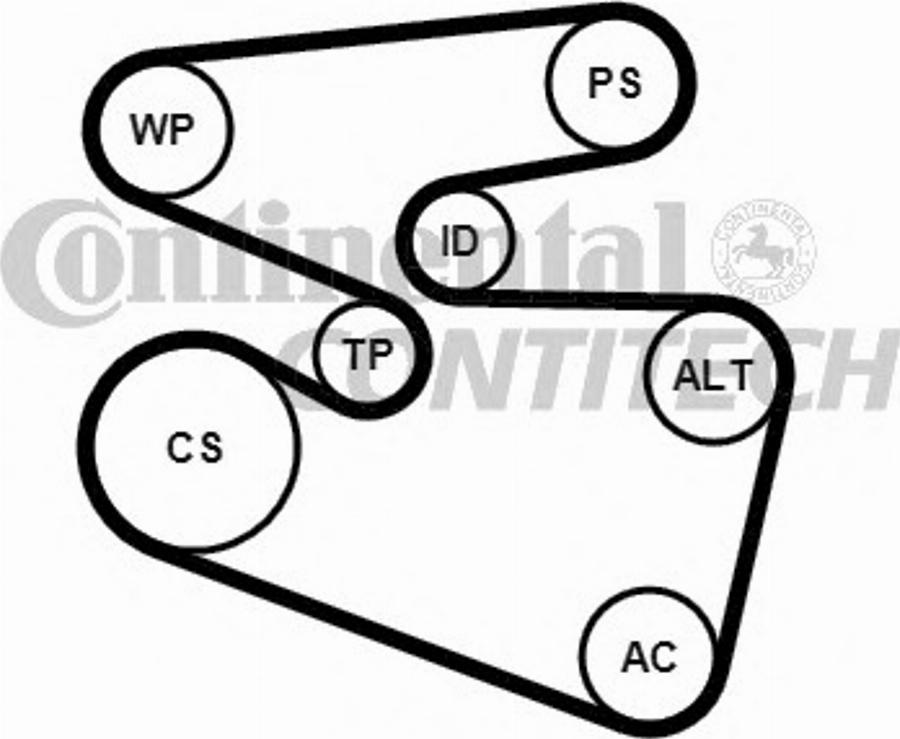 Contitech 6PK1555K3 - Поликлиновой ремінь autocars.com.ua