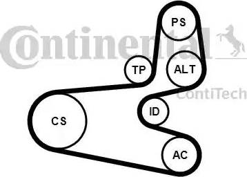 Continental 6PK1560K1 - Поликлиновый ременный комплект avtokuzovplus.com.ua