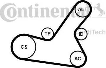 Continental 6PK1564K2 - Поликлиновый ременный комплект avtokuzovplus.com.ua