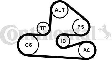 Contitech 6PK1590K1 - Поликлиновый ременный комплект avtokuzovplus.com.ua
