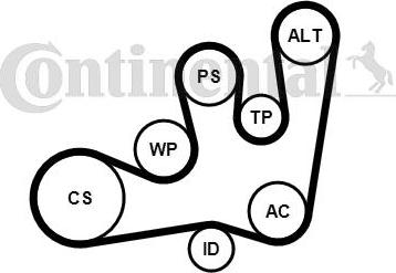 CONTITECH 6PK1642K1 - Поликлиновый ременный комплект autodnr.net