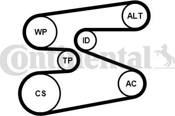 CONTINENTAL 6 PK 1698 K1 - Поликлиновий ремінний комплект autocars.com.ua