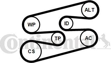 Contitech 6PK1780WP1 - Водяний насос + комплект струмкових ременів autocars.com.ua