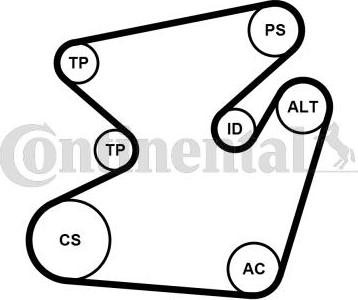 Contitech 6PK1950K1 - Поликлиновый ременный комплект avtokuzovplus.com.ua