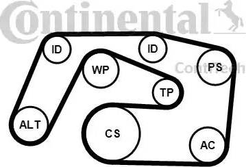 Continental 6PK2271K1 - Поликлиновий ремінний комплект autocars.com.ua