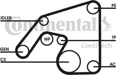 Continental 6PK2390D1 - Поликлиновий ремінний комплект autocars.com.ua