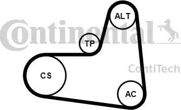 Continental 6PK995K1 - Поликлиновый ременный комплект autodnr.net