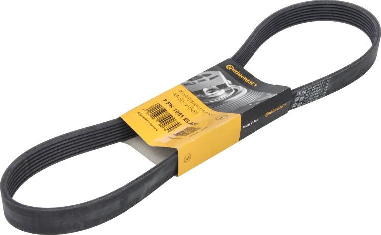 CONTINENTAL 7PK1051 ELAST - Поликлиновой ремінь autocars.com.ua