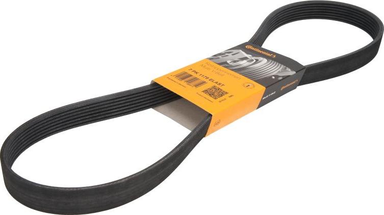 CONTINENTAL 7 PK 1179 ELAST - Поликлиновой ремінь autocars.com.ua