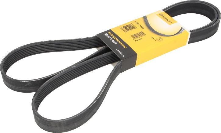 CONTINENTAL 7 PK 1770 - Поликлиновой ремінь autocars.com.ua