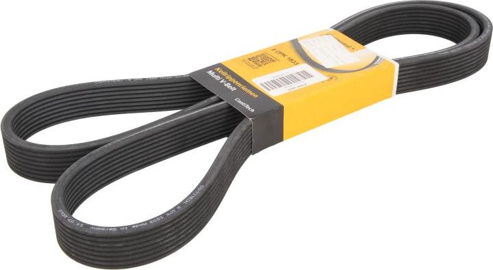 CONTINENTAL 8 DPK 1833 - Поликлиновой ремінь autocars.com.ua