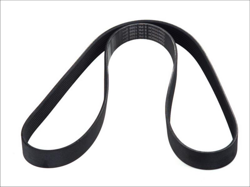 CONTINENTAL 8PK1509 - Поликлиновой ремінь autocars.com.ua
