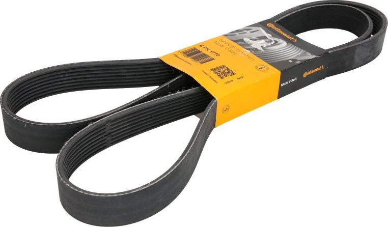CONTINENTAL 8PK1770 - Поликлиновой ремінь autocars.com.ua