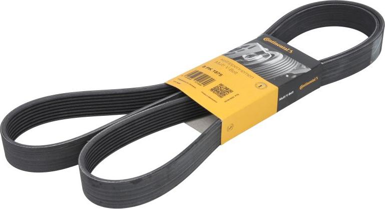 CONTINENTAL 8 PK 1875 - Поликлиновой ремінь autocars.com.ua