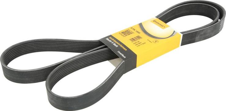 CONTINENTAL 8PK1955 - Поликлиновой ремінь autocars.com.ua