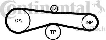 Continental CT1131 - Ремінь ГРМ autocars.com.ua