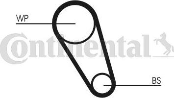 CONTINENTAL CT1195WP1 - Водяний насос + комплект зубчатого ременя autocars.com.ua