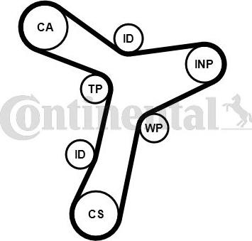 CONTINENTAL CT1229 - Ремінь ГРМ autocars.com.ua