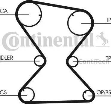 Continental CT842 - Зубчатый ремень ГРМ avtokuzovplus.com.ua
