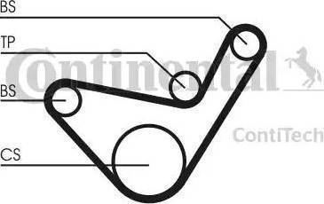 Continental CT1107K1 - Комплект ременя ГРМ autocars.com.ua