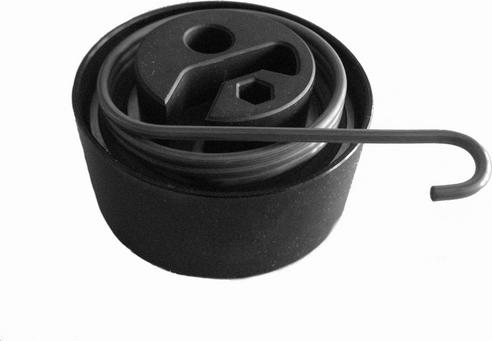 CORAM C969 - Натяжна ролик, ремінь ГРМ autocars.com.ua