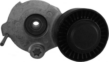 CORAM CT1030 - Натягувач ременя, клинові зуб. autocars.com.ua