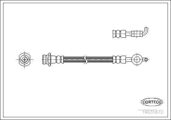 Corteco 19031872 - Гальмівний шланг autocars.com.ua