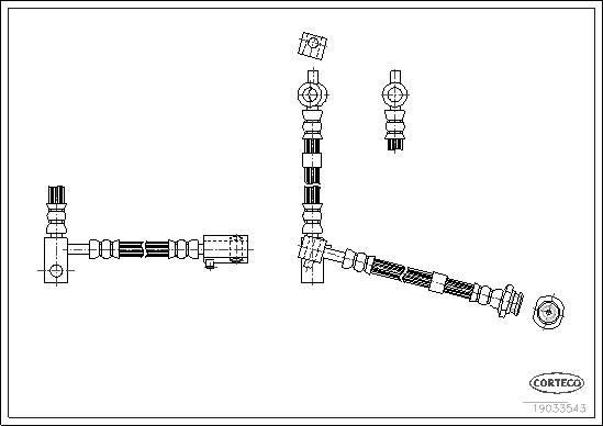 Corteco 19033543 - Гальмівний шланг autocars.com.ua