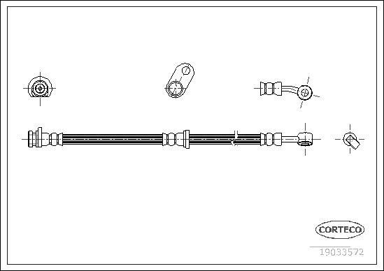 Corteco 19033572 - Гальмівний шланг autocars.com.ua