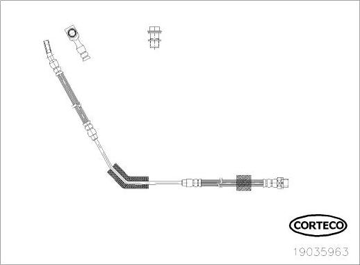 Corteco 19035963 - Шланг гальмівний autocars.com.ua