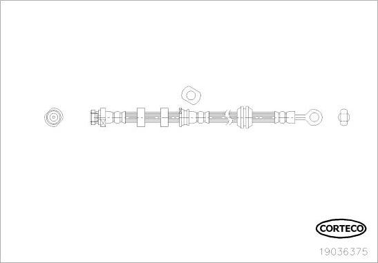 Corteco 19036375 - Тормозной шланг avtokuzovplus.com.ua