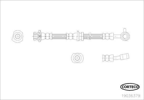 Corteco 19036379 - Тормозной шланг avtokuzovplus.com.ua