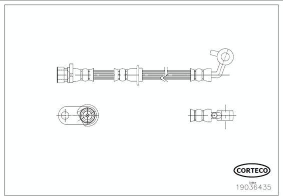 Corteco 19036435 - Гальмівний шланг autocars.com.ua