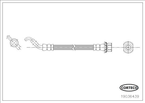 Corteco 19036439 - Гальмівний шланг autocars.com.ua