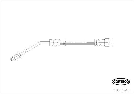 Corteco 19036601 - Гальмівний шланг autocars.com.ua