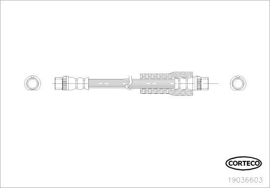 Corteco 19036603 - Тормозной шланг avtokuzovplus.com.ua