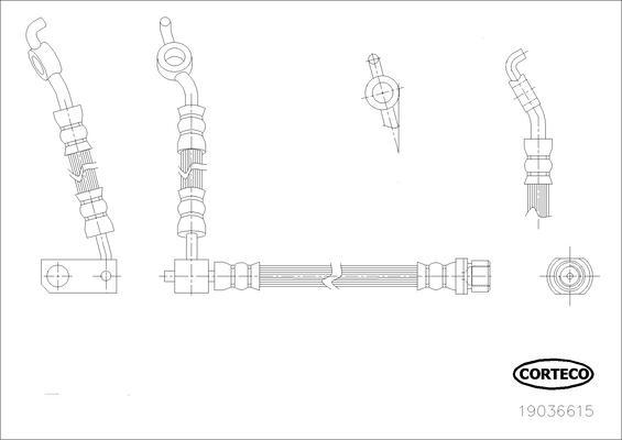 Corteco 19036615 - Тормозной шланг avtokuzovplus.com.ua