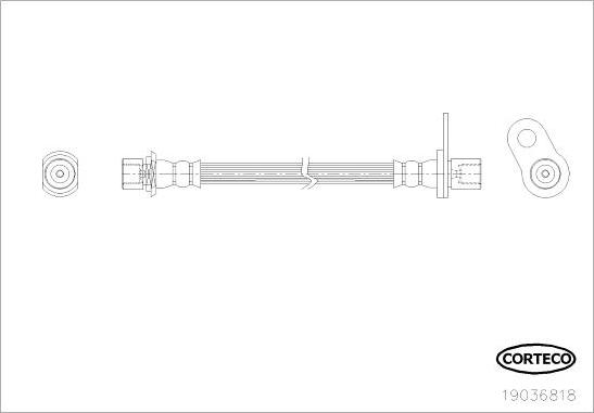 Corteco 19036818 - Гальмівний шланг autocars.com.ua