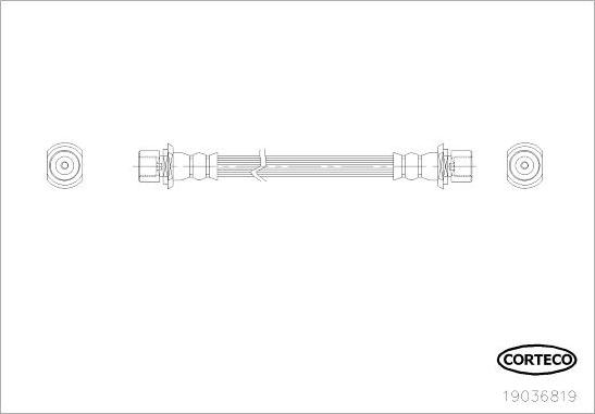 Corteco 19036819 - Гальмівний шланг autocars.com.ua