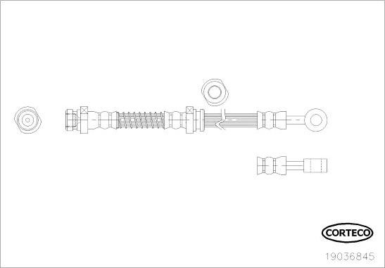 Corteco 19036845 - Тормозной шланг autodnr.net